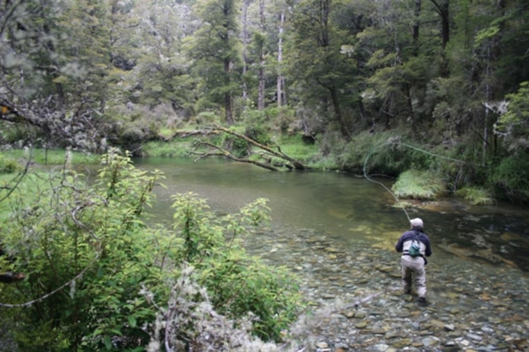Image: New Zealand fishing